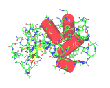 (The structure of lysozyme showing the position of alpha helices, drawn as red cylinders.)