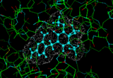 (Docked configuration of the molecule trimethoprim in the E-Coli dihydrofolate reductase enzyme.)