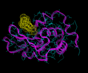 (3D structure of lysozyme with molecule docked at active site.)
