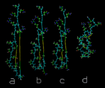 (Energy minimization of a peptide structure.)