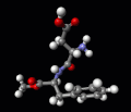 aspartame