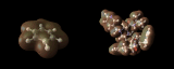 benzene_and_ai