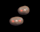 co_and_co2
