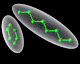liquid_crystal_molecules