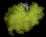 lysozyme_md