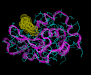 lysozyme_subst_l