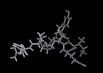 oxytocin_md