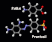paba_and_prontosils