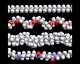 polymers