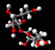 sucrose