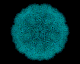 virus