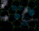 zeolite_methane_trajectory