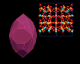 zircon_morphology